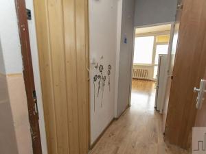 Prodej bytu 1+kk, Litvínov, Mostecká, 22 m2