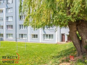 Pronájem bytu 1+kk, Meziboří, Okružní, 35 m2