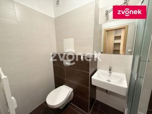 Prodej bytu 2+kk, Všemina, 46 m2