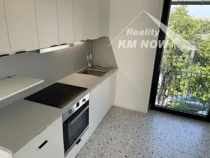 Pronájem bytu 2+kk, Tupesy, 46 m2