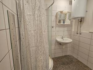 Pronájem bytu 1+1, Praha - Žižkov, Jeseniova, 48 m2