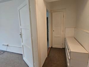 Pronájem bytu 1+1, Praha - Žižkov, Jeseniova, 48 m2