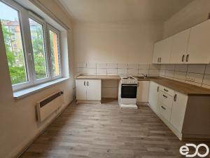 Pronájem bytu 1+1, Praha - Žižkov, Jeseniova, 48 m2