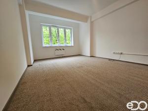 Pronájem bytu 1+1, Praha - Žižkov, Jeseniova, 48 m2