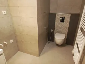 Pronájem bytu 2+kk, České Budějovice - České Budějovice 3, Riegrova, 64 m2