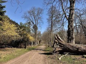 Pronájem bytu 3+kk, Sokolnice, Zámecká, 71 m2