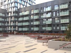 Pronájem bytu 1+kk, Praha - Žižkov, Olšanská, 34 m2