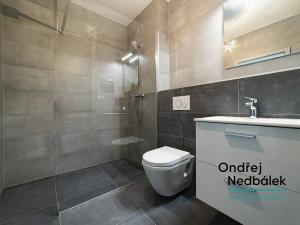 Pronájem bytu 1+kk, Zlín, Kvítková, 33 m2