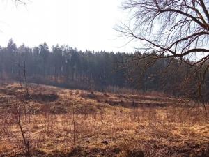 Prodej pozemku pro bydlení, Janská, 22894 m2