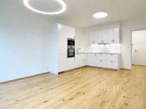 Pronájem bytu 2+kk, Praha - Vinohrady, Závišova, 57 m2