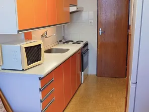 Prodej bytu 3+1, Borek, Družstevní, 73 m2