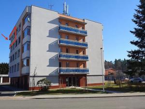 Prodej bytu 3+1, Borek, Družstevní, 73 m2