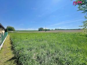 Prodej pozemku pro bydlení, Rychnov nad Kněžnou, 1194 m2