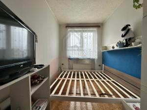 Prodej bytu 3+1, Krásné Údolí, 81 m2