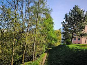 Prodej bytu 2+1, Třebíč, Obránců míru, 536 m2