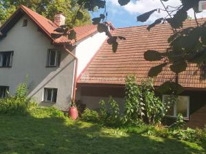 Prodej zemědělského objektu, Bílá - Petrašovice, 4386 m2