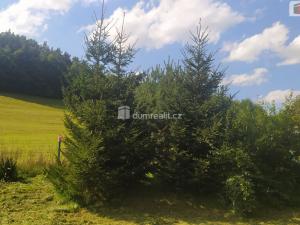 Prodej zemědělského objektu, Bílá - Petrašovice, 4386 m2