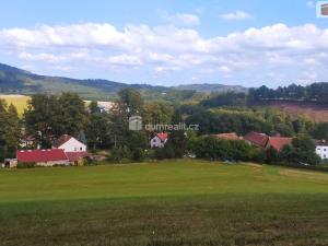 Prodej zemědělského objektu, Bílá - Petrašovice, 4386 m2