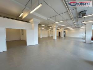 Pronájem skladu, Měšice, Nádražní, 435 m2