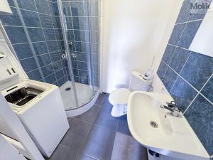 Pronájem bytu 1+1, Lahošť, U Kapličky, 45 m2