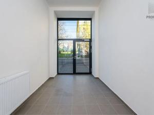 Prodej obchodního prostoru, Brno, Vranovská, 22 m2