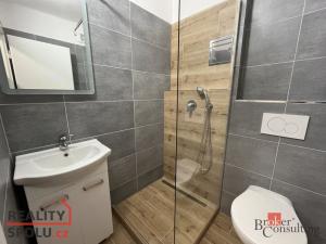 Pronájem bytu 1+1, Dolní Benešov, Osada míru, 30 m2