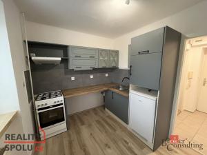 Pronájem bytu 1+1, Dolní Benešov, Osada míru, 30 m2