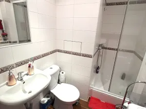 Pronájem bytu 1+kk, Plzeň, Staniční, 25 m2