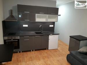 Pronájem bytu 1+kk, Aš, Dlouhá, 20 m2