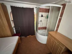 Prodej zahrady, Obrnice - České Zlatníky, 397 m2