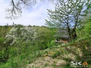 Prodej zahrady, Jílové u Prahy - Kabáty, 1626 m2