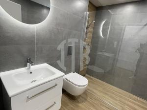 Pronájem bytu 3+kk, Staré Hodějovice, Hodějovická, 57 m2