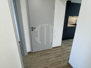Pronájem bytu 3+kk, Staré Hodějovice, Hodějovická, 57 m2
