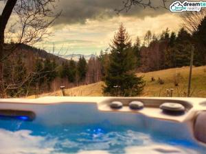 Prodej chalupy, Hutisko-Solanec - Solanec pod Soláněm, 300 m2