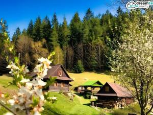 Prodej chalupy, Hutisko-Solanec - Solanec pod Soláněm, 300 m2