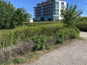 Prodej bytu 1+kk, Kavarna, Bulharsko, 26 m2