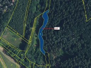 Dražba lesa, Kyje, 1262 m2