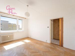 Prodej bytu 1+1, Olomouc - Povel, Polská, 33 m2