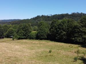 Prodej pozemku pro bydlení, Olešnice v Orlických horách, 3446 m2
