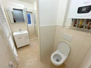 Pronájem bytu 1+kk, Brno, Havlišova, 25 m2