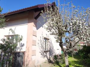 Prodej rodinného domu, Bruntál, Wolkerova, 175 m2