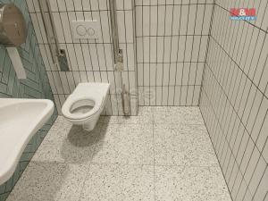 Pronájem obchodního prostoru, Opava - Město, Masarykova třída, 50 m2