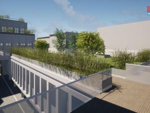 Pronájem obchodního prostoru, Opava - Město, Masarykova třída, 30 m2