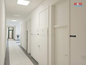 Pronájem obchodního prostoru, Opava - Město, Masarykova třída, 30 m2