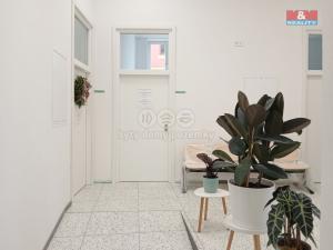 Pronájem obchodního prostoru, Opava - Město, Masarykova třída, 30 m2
