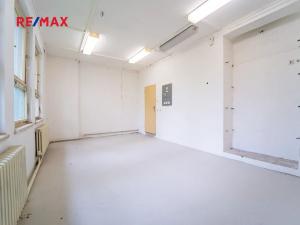Pronájem kanceláře, Nymburk, Velké Valy, 250 m2