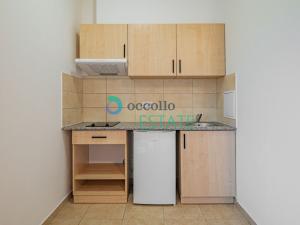 Pronájem bytu 1+kk, Otvovice, 29 m2