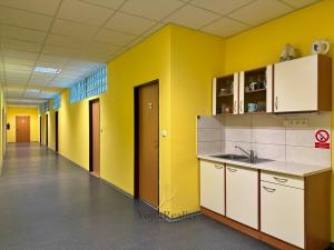 Pronájem kanceláře, Olomouc - Hejčín, Dolní hejčínská, 40 m2