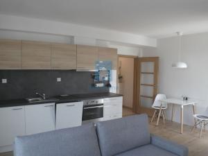 Pronájem bytu 2+kk, Plzeň, U Velkého rybníka, 47 m2