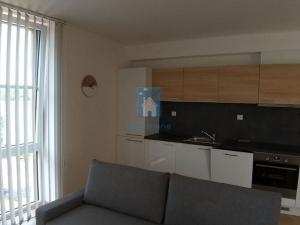 Pronájem bytu 2+kk, Plzeň, U Velkého rybníka, 47 m2